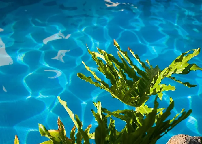 Piramides Адехе