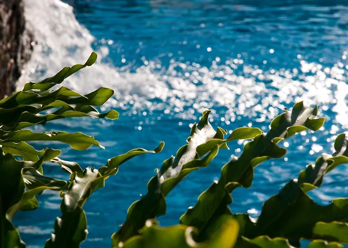 Apartment Piramides *