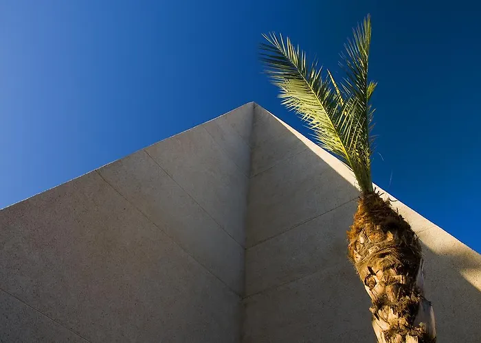 Apartment Piramides Costa Adeje (Tenerife)